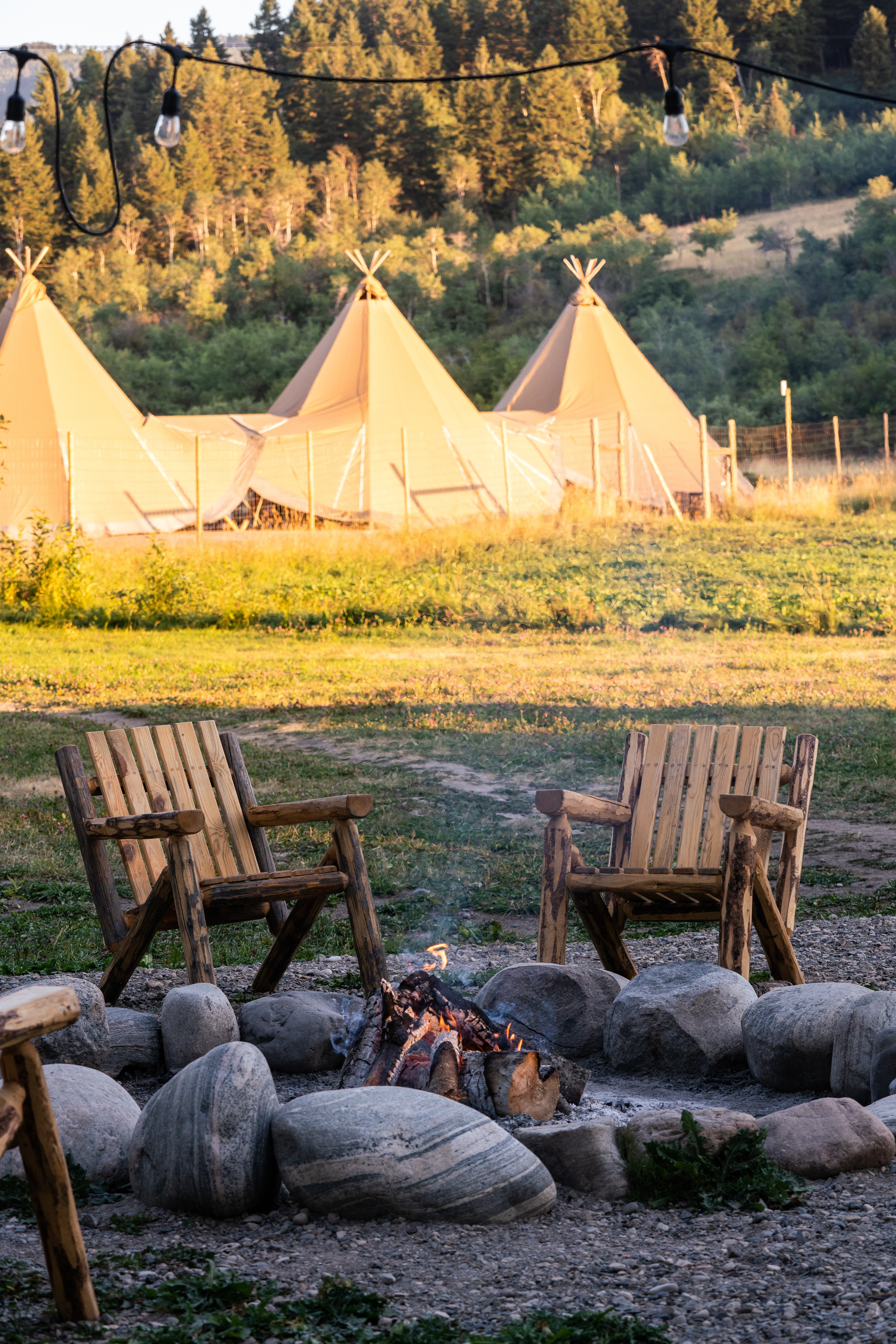 Bodhi Farms Bozeman CVB