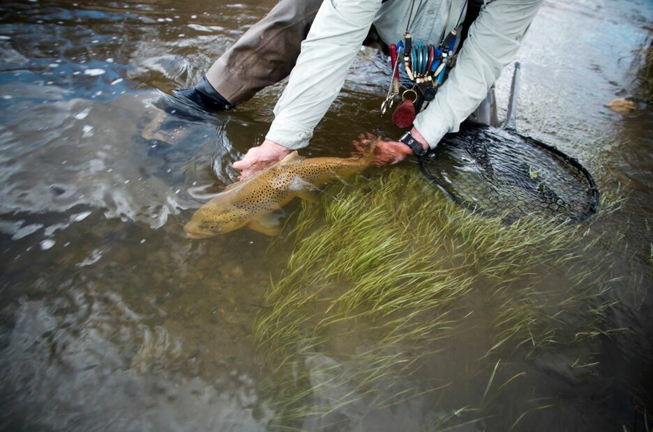 River’s Edge Bozeman CVB