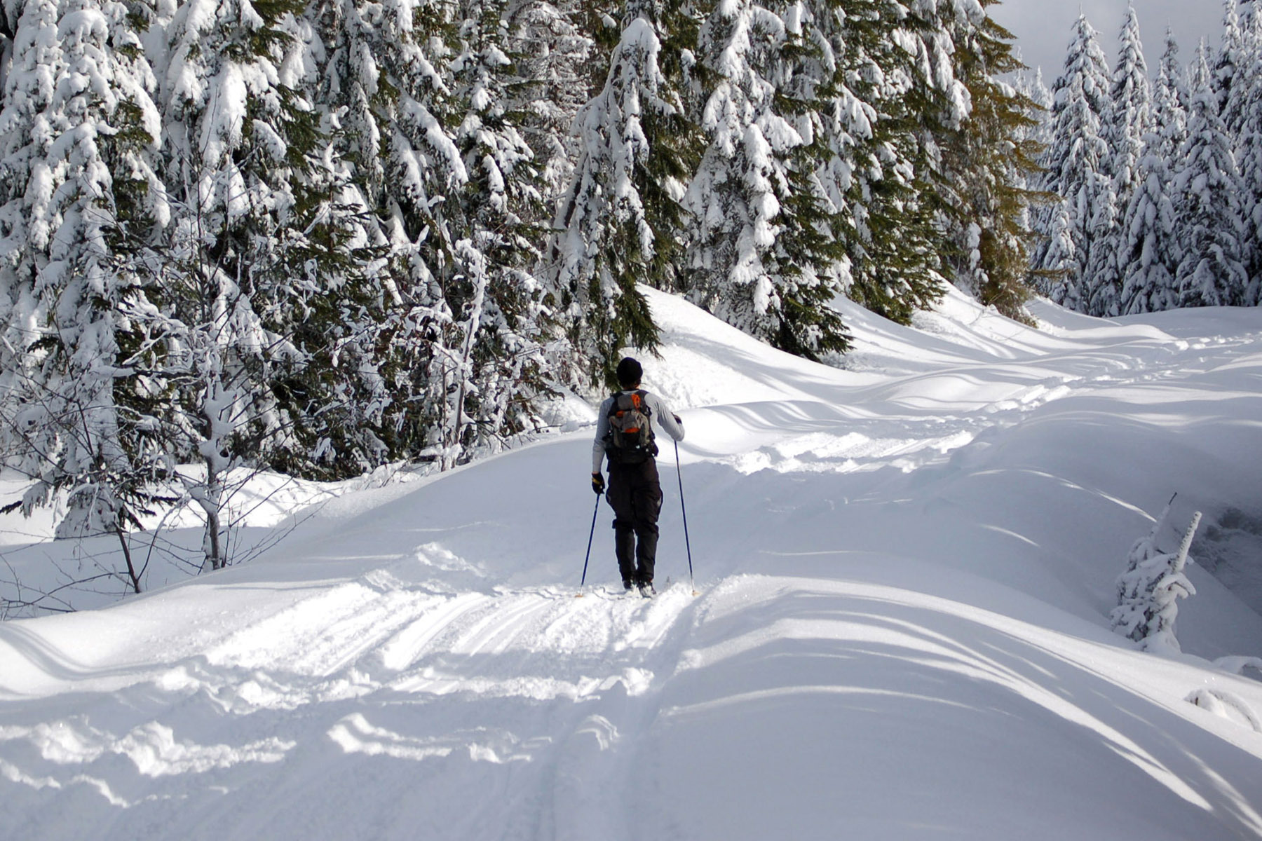 Bozeman Creek/Sourdough Canyon 23 KM Bozeman CVB