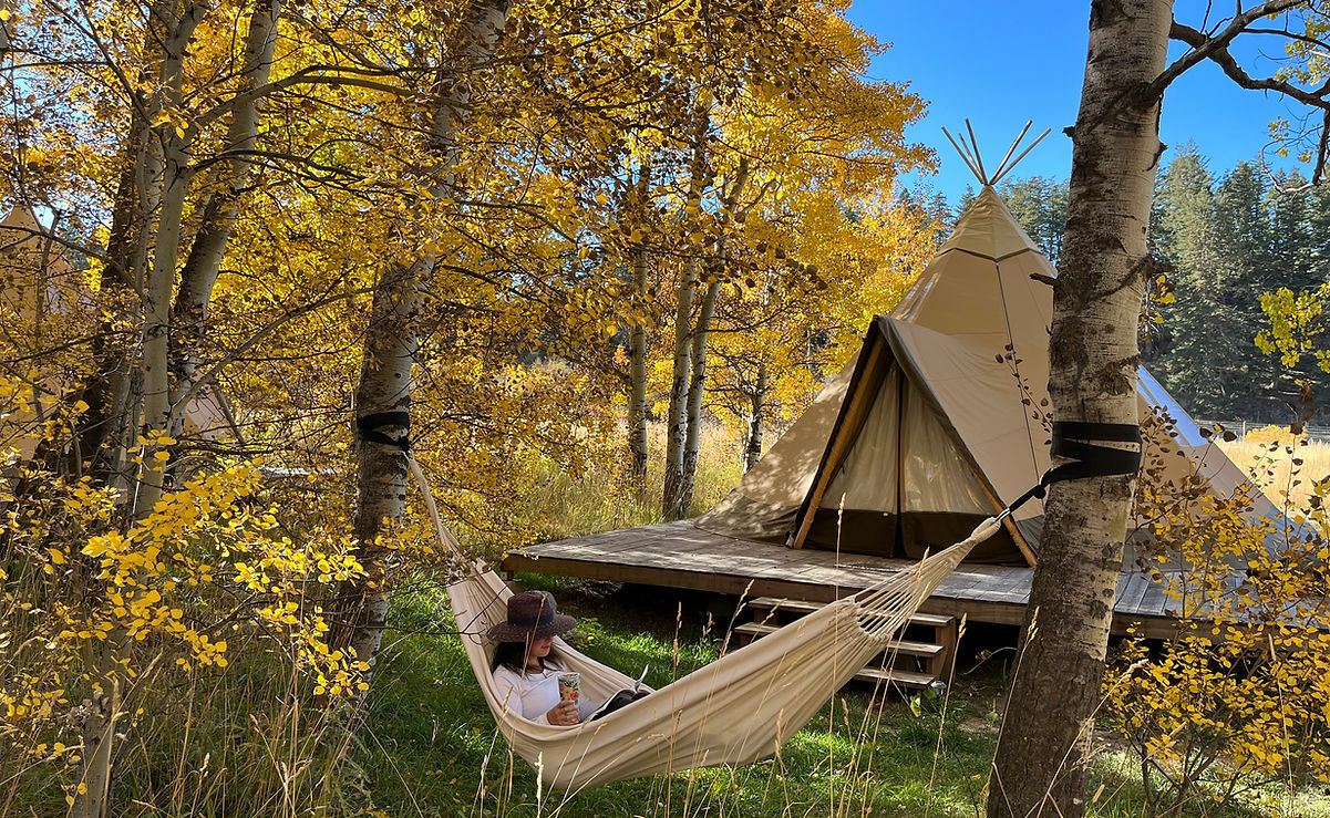 Bodhi Farms Bozeman CVB